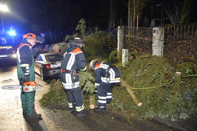 Weinstadt-Baach: Grosser Baum faellt auf geparktes Auto - Pkw Totalschaden